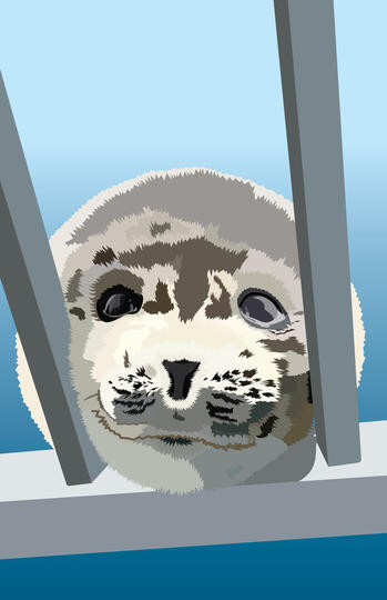 Trace-over of Ponsuke, Illustrator, July 4th, 2025