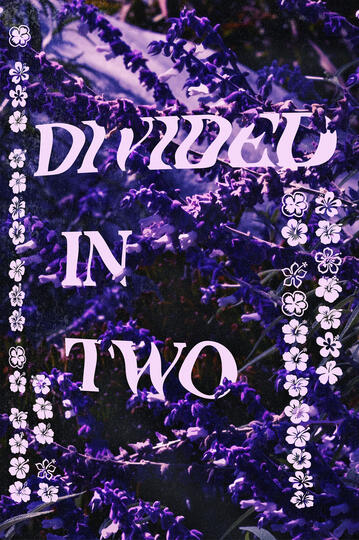 Purple Flower (1), Garden of Introspection, 2026